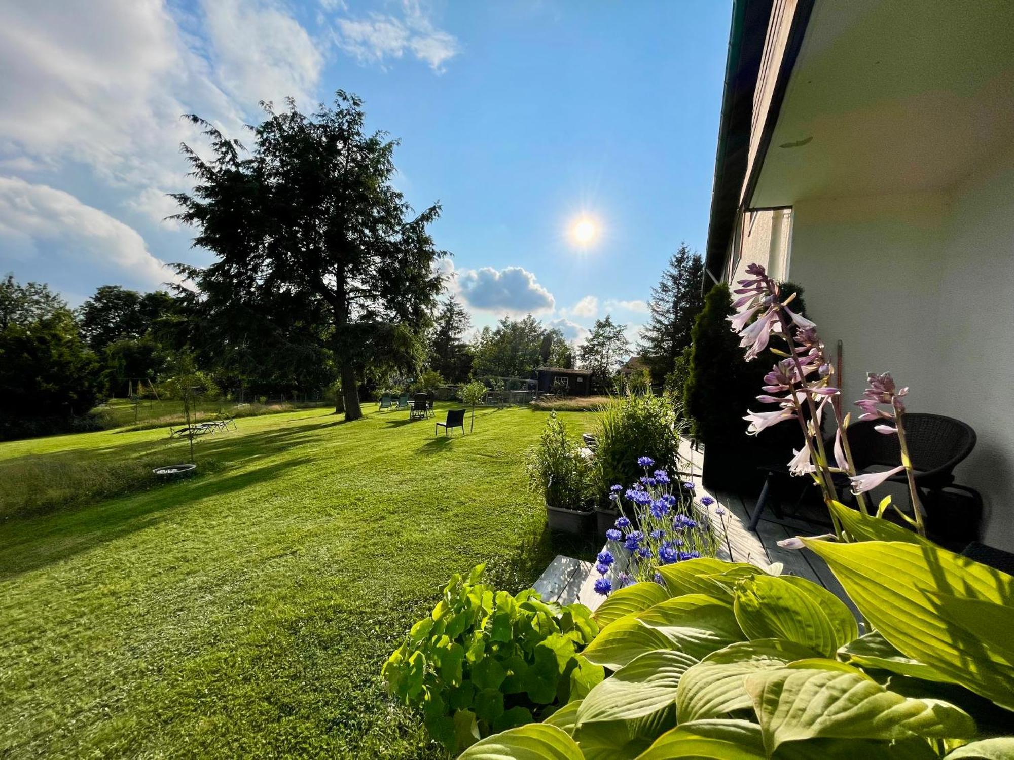 Berghotel Hohegeiß Exteriér fotografie